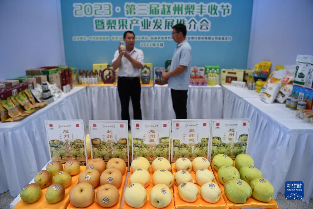 迅达官网游戏